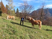 43 ...si lascia fotografare